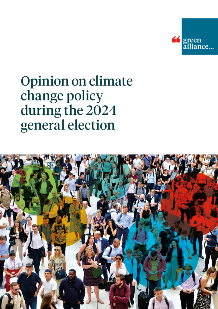 Opinion On Climate Change Policy During The 2024 General Election